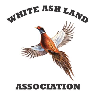 Animal Designs Thumbnail