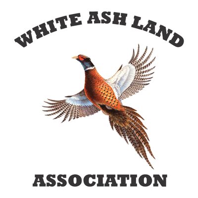 WALA Black Pheasant Thumbnail